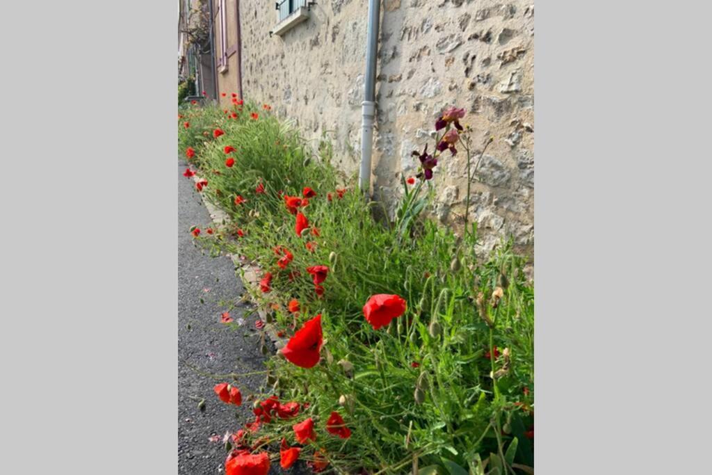 Le Clos De L'Eglise - Blanche Giverny Luaran gambar